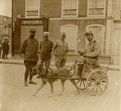 Dog-cart, France by Unbekannt
