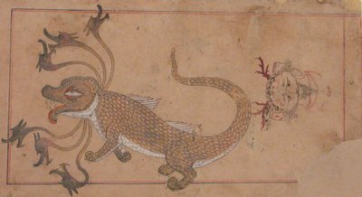 Dragon by Unbekannt