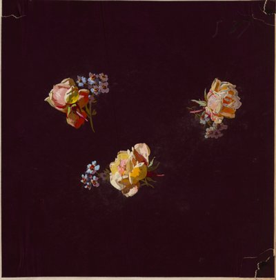 Drawing from Saint Germain - Volumes 1 & 2 by Unbekannt
