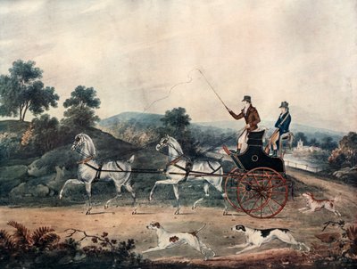 Driving Tandem by Unbekannt