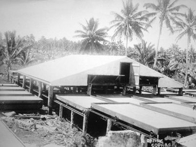 Drying Copra, Solomon Island, Fiji by Unbekannt