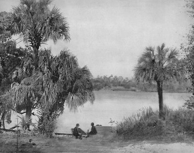 Eau Gallee, Indian River, Florida by Unbekannt