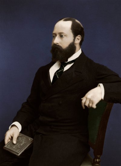 Edward VII then Prince of Wales, 1876 by Unbekannt