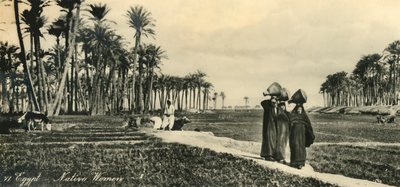 Egypt - Native Women by Unbekannt