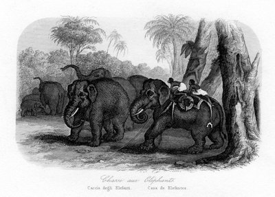 Elephant Hunt, India by Unbekannt