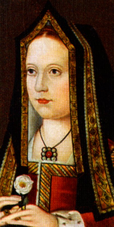 Elizabeth of York by Unbekannt