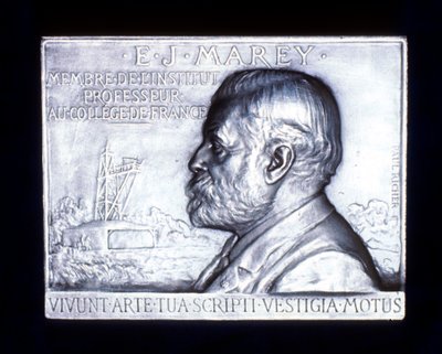 Etienne Jules Marey, French Physiologist by Unbekannt