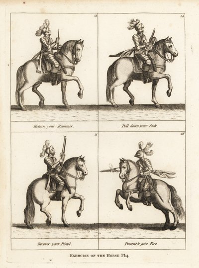 Exercise of the Horse by Unbekannt
