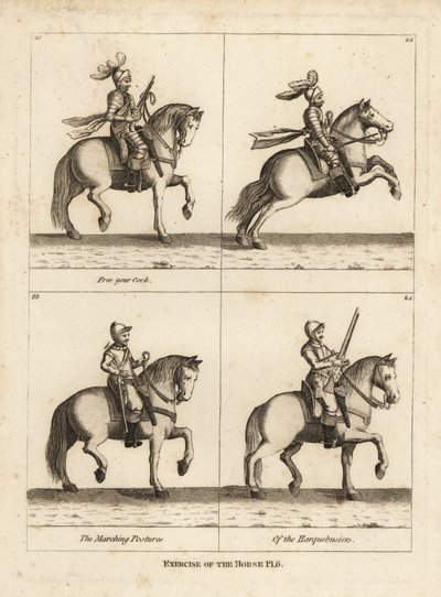 Exercise of the horse by Unbekannt