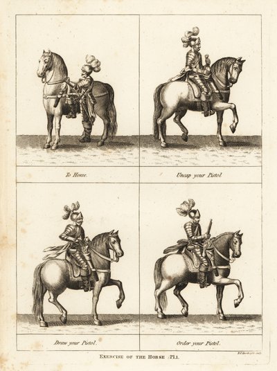 Exercise of the Horse by Unbekannt