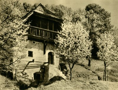 Farmhouse, Carinthia, Austria by Unbekannt
