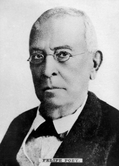 Felipe Poey 1799-1891, Cuban zoologist by Unbekannt