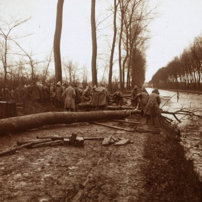 Felling Trees, Noyon, Northern France by Unbekannt