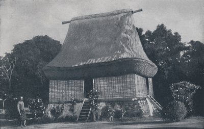 Fijian House by Unbekannt