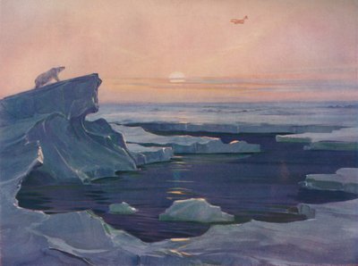 Flying over the Polar Wastes by Unbekannt