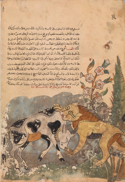 Folio from a Kalila wa Dimna, 18th Century by Unbekannt