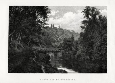 Forge Valley, Yorkshire by Unbekannt