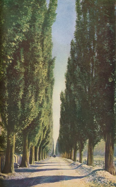 France by Unbekannt