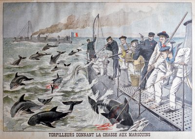 French torpedo boats hunting porpoises by Unbekannt
