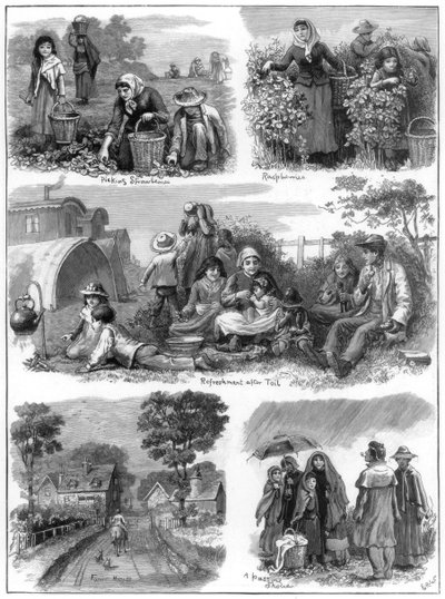 Fruit Gatherers, 1899 by Unbekannt