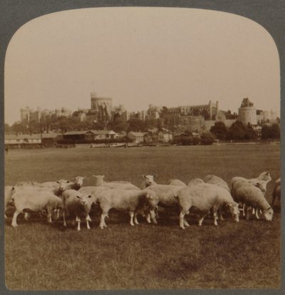 General View Windsor Castle, England by Unbekannt
