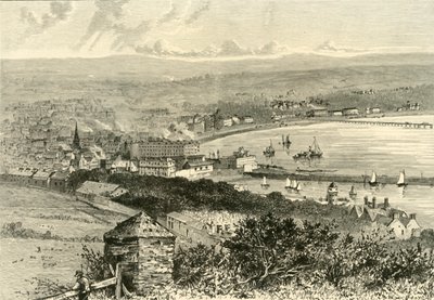 General View of Douglas, 1898 by Unbekannt