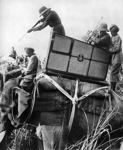 George V shooting tigers, India by Unbekannt