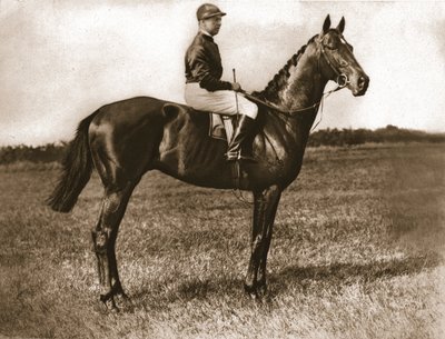 Georges Stern on Sunstar by Unbekannt