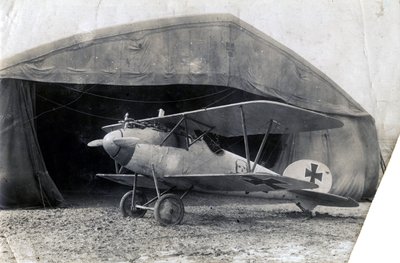 German Albatros DV, Souilly, France, 2 January 1918 by Unbekannt