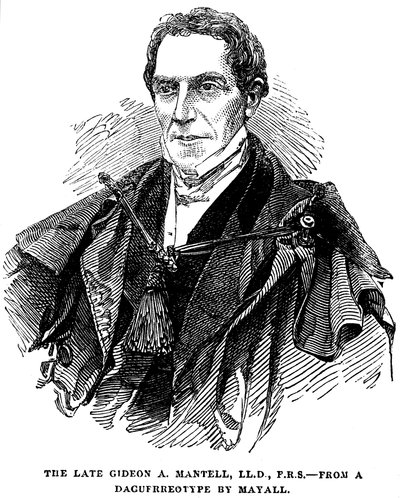 Gideon Algernon Mantell, English Geologist by Unbekannt