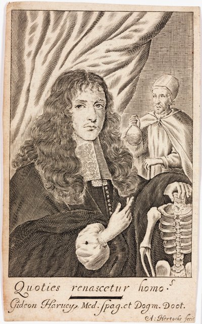 Gideon Harvey, English physician by Unbekannt