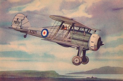 Gloster Gladiator Fighter Biplane by Unbekannt