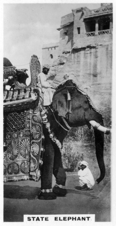 Government Elephant in State Costume, South India by Unbekannt
