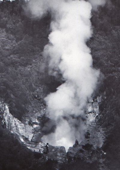 Great Wairakei Geyser by Unbekannt