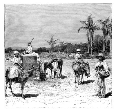 Group of Haitians, c1890 by Unbekannt