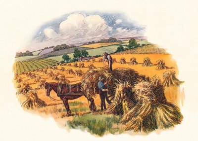 Harvesting at Tolpuddle by Unbekannt