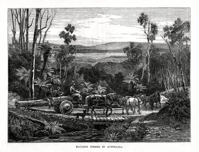 Hauling Timber, Australia by Unbekannt