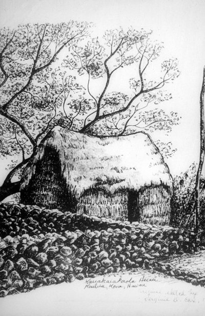 Heiau, Kailua-Kona, Hawaii, 19th century by Unbekannt