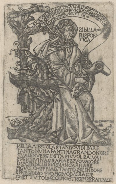 Hellespontine Sibyl by Unbekannt