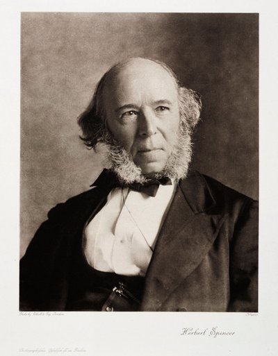 Herbert Spencer, English social philosopher by Unbekannt