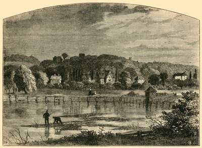 Highgate Ponds, c1876 by Unbekannt