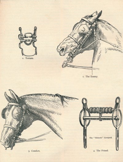 Horse bits, good and bad by Unbekannt