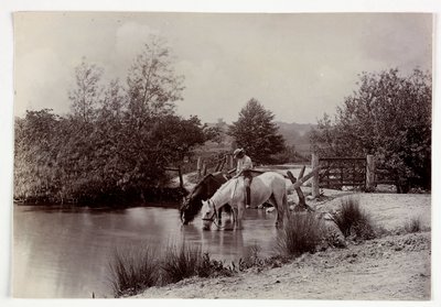 Horses drinking at pond, c 1890 by Unbekannt