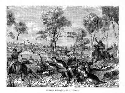 Hunting Kangaroos, Australia, 1877 by Unbekannt