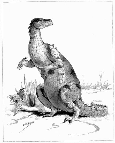 Iguanodon by Unbekannt