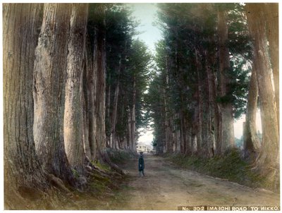 Imaichi Road at Nikko, Japan by Unbekannt