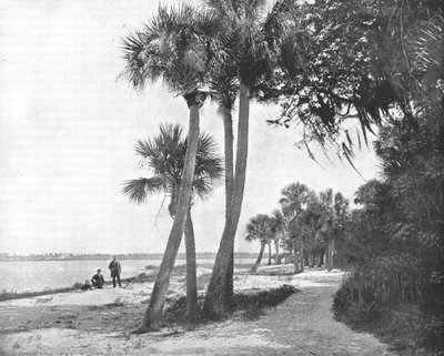 Indian River, Florida, USA by Unbekannt