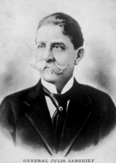Julio Sanguily by Unbekannt