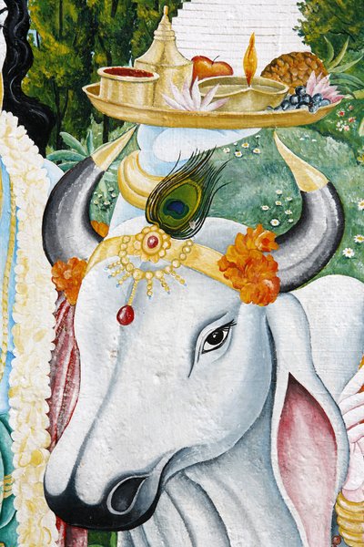 Kamdhenu sacred cow, Kathmandu, Nepal by Unbekannt