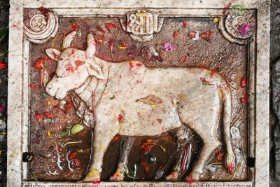 Kamdhenu sacred cow, Shesh Narayana, Nepal by Unbekannt